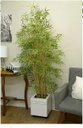 Ver imagem 4 de Árvore Artificial Bambu Verde com Galho Amarelo 1,9m