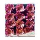 Ver imagem 1 de Forminha Happy Papel Monolucido Rose Gold