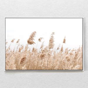 Quadro Decorativo Capim Rabo de Raposa Moderno Com Moldura e Sem Vidro 90X140