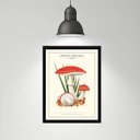 Ver imagem 1 de Quadro Cogumelos Vermelhos - Poá 33x24cm:madeira Branca