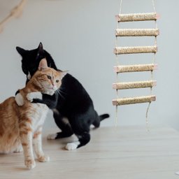 Ponte Escada de Parede para Gatos Playground em Sisal - 6