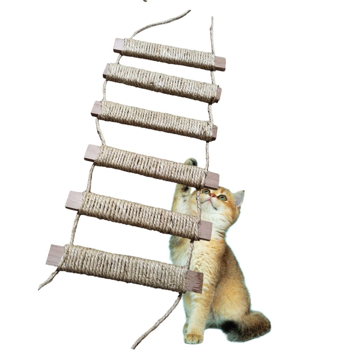Ponte Escada de Parede para Gatos Playground em Sisal