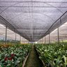 Tela Preta Sombrite Hortas E Estufas Proteção 80% 4x20m - 4