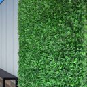 Ver imagem 5 de 19 Folhagens Artificiais Samambaia em Placa Decorativa para Parede Verde Vertical e Muro Inglês