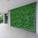 Ver imagem 1 de 19 Folhagens Artificiais Samambaia em Placa Decorativa para Parede Verde Vertical e Muro Inglês