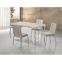 Ver imagem 1 de Conjunto Mesa Iza 120x90cm Tampo MDF/Vidro 4 Cadeiras Natani Yescasa Cinza/Cromado/Off White