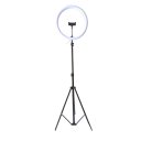 Ver imagem 6 de Iluminador Ring Light de LED 12 Polegada 30cm + Tripé 1,10m Blogueira