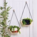 Ver imagem 1 de Prateleira de madeira suspensa por corda - 2 unidades