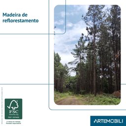 Rack Para TV até 60 Polegadas 3 Gavetas Madeira Maciça Palhinha Yescasa - 12