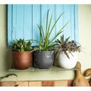 Ver imagem 2 de Vaso Decorativo Concept Redondo N2 Japi