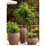 Vaso Antique 55 Japi - 2