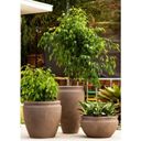 Ver imagem 2 de Vaso Decorativo 55 51,5cm 75 Litros Japi Marrom/Macchiato