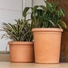 Vaso Redondo Firenze 55 - 2