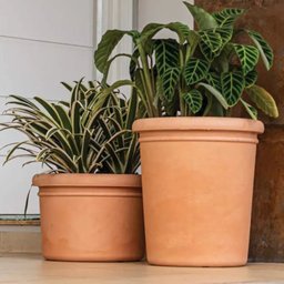 Vaso Redondo Firenze 56 - 2
