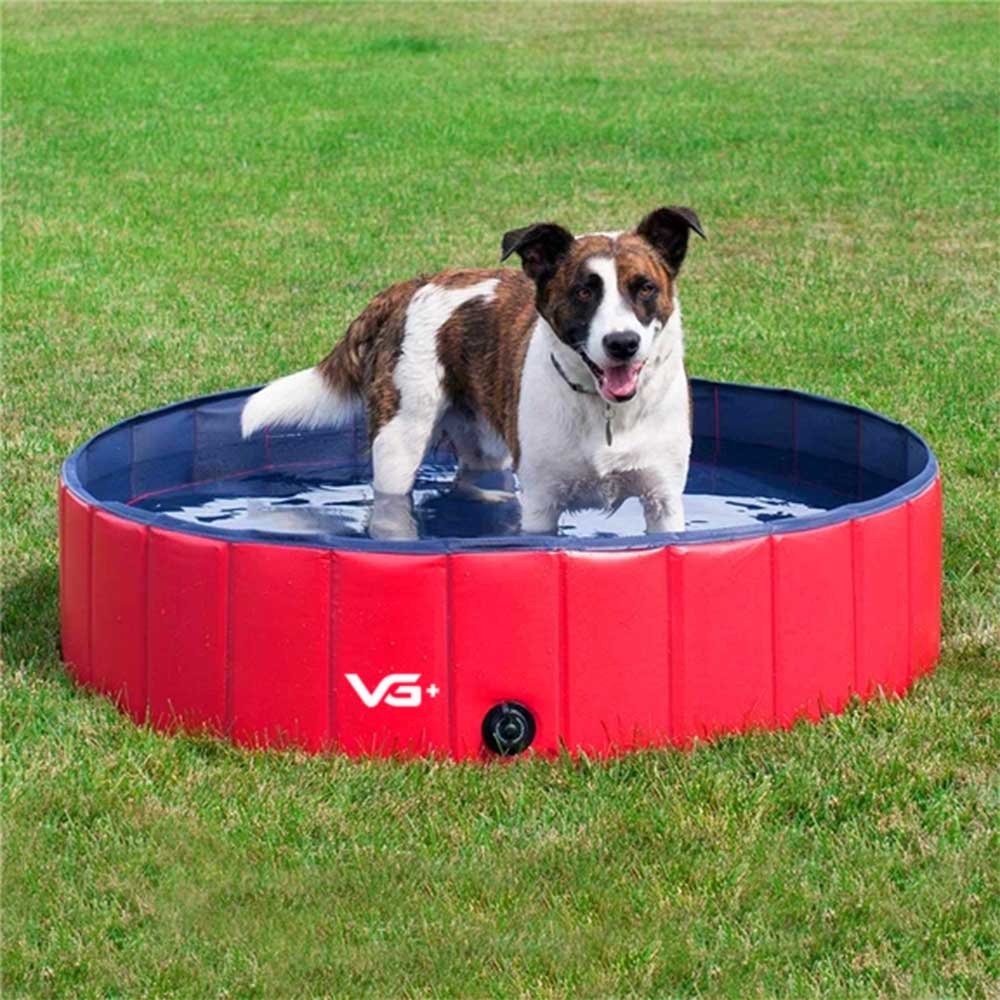 Piscina para Pets Animais de Estimação 160 cm x 30 cm Vermelha VG+ - 2