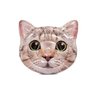 Colchão Bóia Inflável Gato Gigante Piscina Realístico Intex - 1
