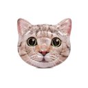 Ver imagem 1 de Colchão Bóia Inflável Gato Gigante Piscina Realístico Intex