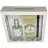 Caixa Presenteável com Difusor de Varetas e Home Spray Chá Verde, da Herbo - 2