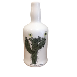 Garrafa Em Cerâmica Cacto - Unidade Garrafa Cacto Pilosocereus Gounellei - 1