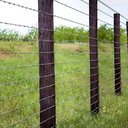 Ver imagem 5 de Arame Farpado 1,6 Mm 250 Metros Bwg16 Bremen