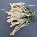 Ver imagem 6 de Buque Flor Artificial Trigo Deserto Bege