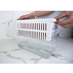 Organizador de Geladeira com Escorredor Interno 5l Caixa Plástica para Legumes Saladas Clear Fresh - 3