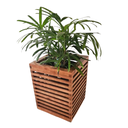 Ver imagem 1 de Vaso de Plantas - Cachepô de Plantas em Madeira Maciça