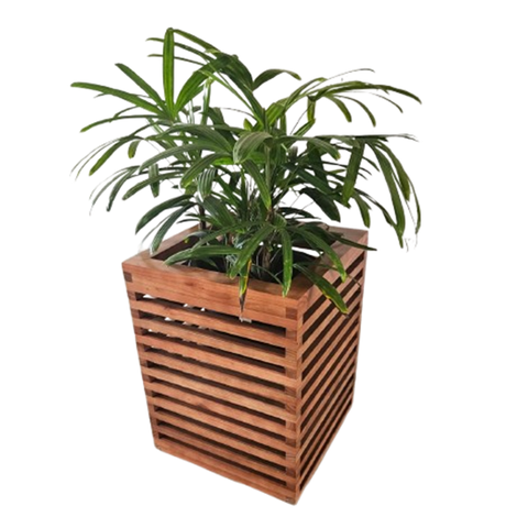 Vaso de Plantas - Cachepô de Plantas em Madeira Maciça