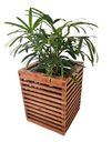 Ver imagem 1 de Vaso de Plantas - Cachepô de Plantas em Madeira Maciça