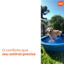 Ver imagem 4 de Kit 2 Bebedouros para Animais 250l Azul Gplas
