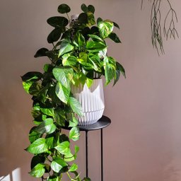 Vaso de plantas Cesto - prato embutido - Branco marmorizado - 2