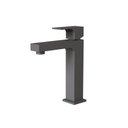 Ver imagem 1 de Misturador Monocomando para Lavatorio Fani Retta Preto Fosco 6876 Bk330