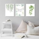 Ver imagem 1 de Kit 3 Quadros Decorativos Seja Grato - Plantas 24x18cm:madeira Branca