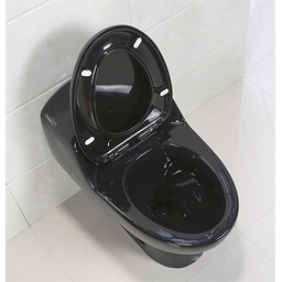 Vaso Sanitário Monobloco Completo - Caixa Acolpada com Assento Cor Preto - 5