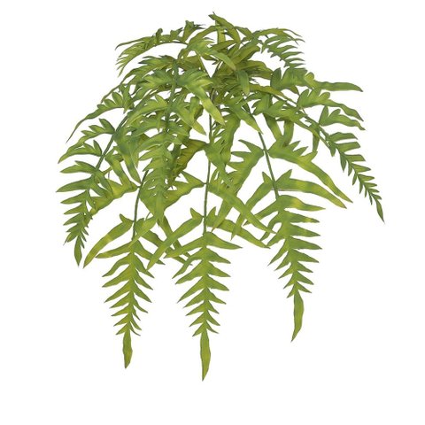 Samambaia Pendurar C/print Plastico X8 Folhas Verde 46cm