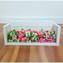 Ver imagem 7 de Baleiro Painel Canaletado Doceria Bomboniere Aparador Vidro