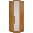 Ver imagem 1 de Modulo Obliquo P/ Guarda-roupa Com 1 Porta Cumaru/fendi