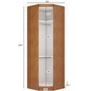 Ver imagem 3 de Modulo Obliquo P/ Guarda-roupa Com 1 Porta Cumaru/fendi