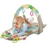 Fisher-price Ginásio Bicho Preguiça Sensorial Gnb52 Mattel Cia do Modelo: Gnb52 - 4