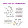 Comedouro Alto Simples em Ferro e Inox para Gatos Pet - Amarelo - 2