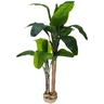 Planta Bananeira Grande Duas Hastes Toque Real 1,6mt - 1