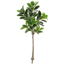 Ver imagem 1 de Planta Àrvore Artificial Ficus Elástica Real Toque X82 Verde Creme 1,5m