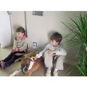 Ver imagem 4 de Repelente Eletronico 300 Metros Insetos Baratas Ratos Mosquitos AB MIDIA BSL-1916-1