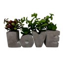 Ver imagem 1 de Vaso Com Suculenta L'Hermitage Love Em Cimento - 28680