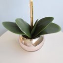 Ver imagem 3 de Folha de Orquídea Artificial Phalaenopsis com Cinco Folhas e Raiz