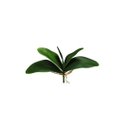 Ver imagem 1 de Folha de Orquídea Artificial Phalaenopsis com Cinco Folhas e Raiz