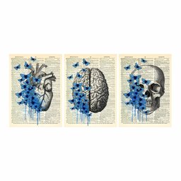 Kit 3 Quadro Decorativo Medicina Flores Consultório Placa 40x28cm - 2