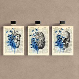 Kit 3 Quadro Decorativo Medicina Flores Consultório Placa 40x28cm - 1