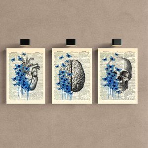 Kit 3 Quadro Decorativo Medicina Flores Consultório Placa 40x28cm
