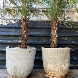 Vaso Decorativo para o Chão 52x63 G - Burj - 3